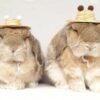 Farmer's Straw Hat - Image 5
