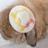 Beach Pawty Hat