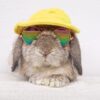Bunny Fleece Hat - Image 4