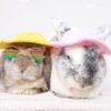 Bunny Fleece Hat - Image 6