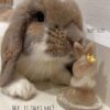 Precious Birthday Bundle - Cake + Keepsake MaoMao Figurine + Free Gifts - Image 20
