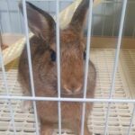 "Ingredients use are extremely safe. Will always lookout for the latest post on the cookies." Charlene