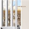 Baby Gate - Image 6