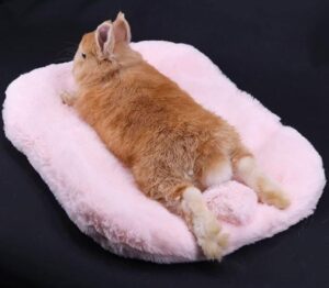 Cotton Tail Cushion