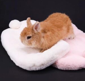 Cotton Tail Cushion - Image 3