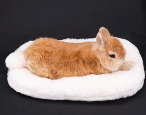 Cotton Tail Cushion - Image 4