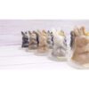 Precious Birthday Bundle - Cake + Keepsake MaoMao Figurine + Free Gifts - Image 14