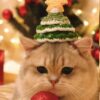 Xmas Hats - Image 3