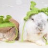 Shrek & Fiona Hats - Image 13