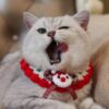 Xmas Scarfs & Collars - Image 2