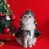 Xmas Capes - Image 8