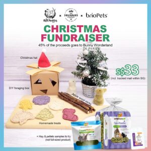 2023 Xmas Fundraiser (Ended)