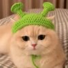 Shrek & Fiona Hats - Image 5