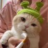 Shrek & Fiona Hats - Image 6