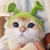 Shrek & Fiona Hats - Image 7