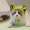 Shrek & Fiona Hats - Image 10