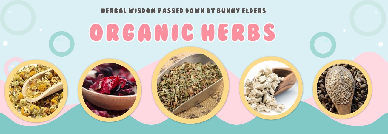 Organic Herbs