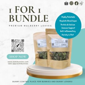 1 For 1 Premium Mulberry Leaves