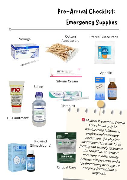 Emergency Supplies Checklist