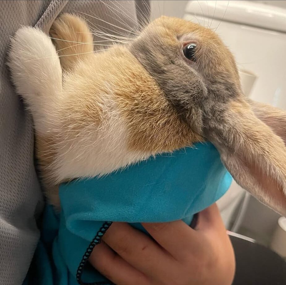 Standing against chest