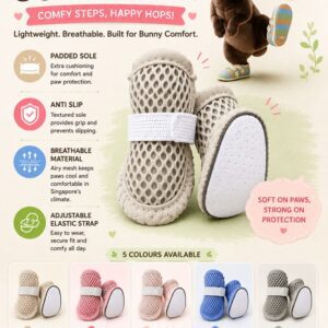 sole mate birthday bundle