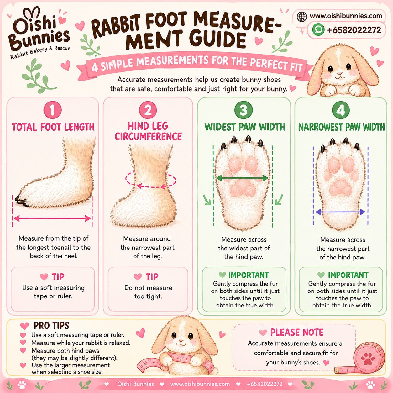 Sole Mate Measurement Guide