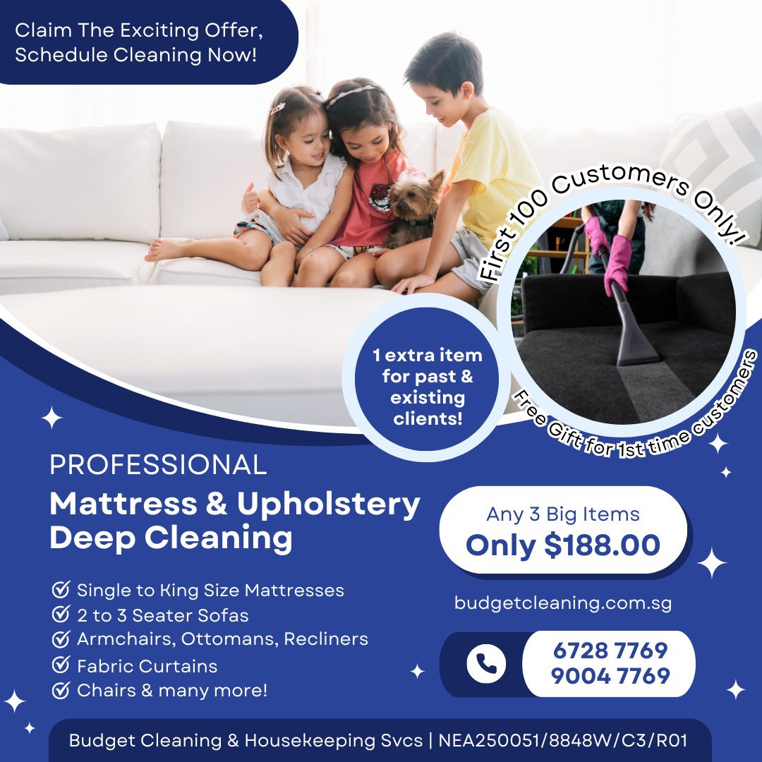 Professional high-extraction deep cleaning system clearing deep-seated allergens from mattress fabric layers