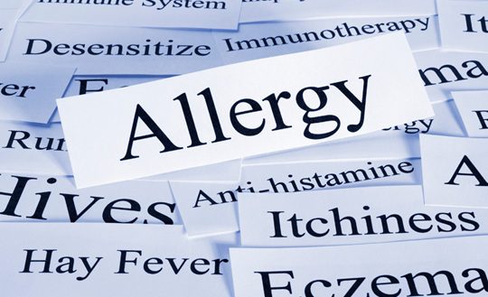 Rabbit Allergy Solutions