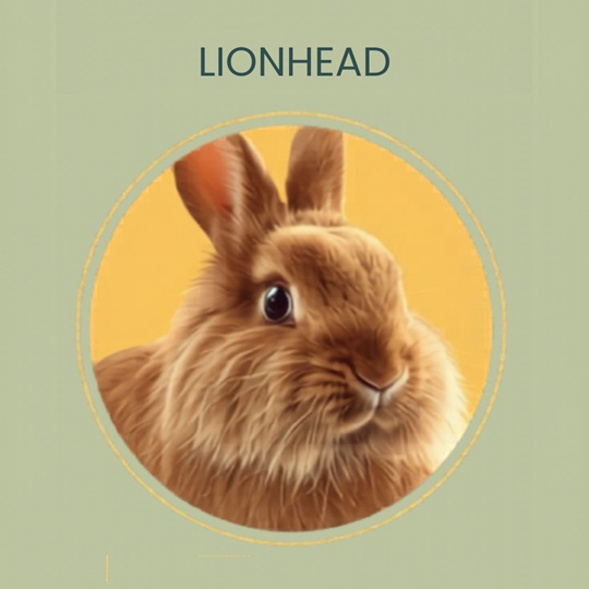 Lionhead Rabbit Mane Coat Type