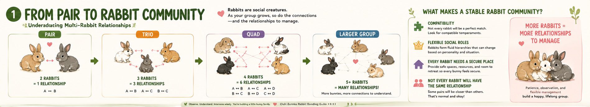 From Pair To Group