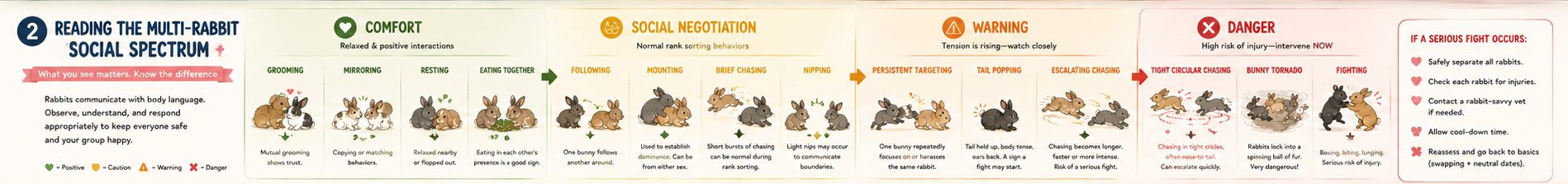 Multi-Rabbit Social Spectrum