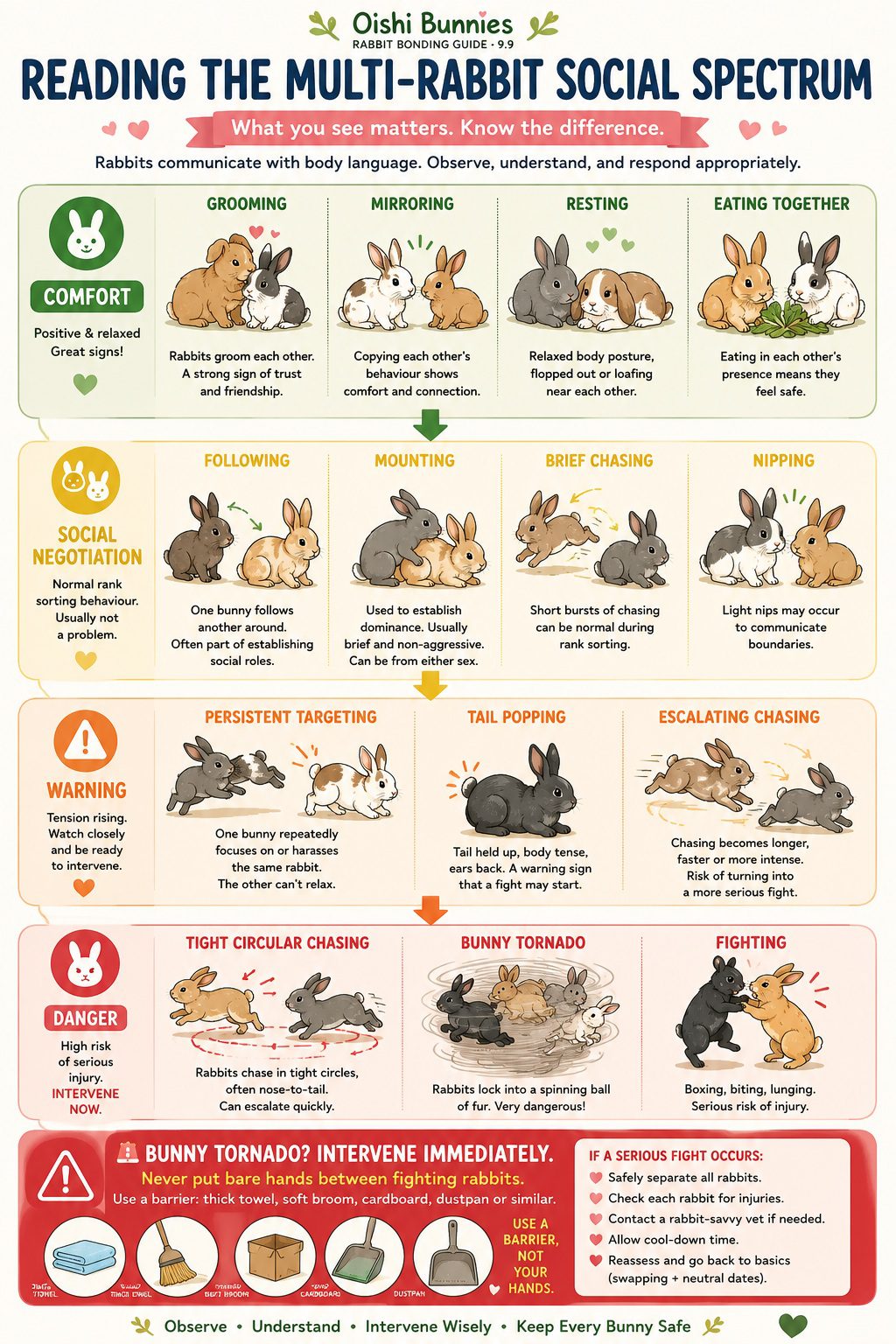 Reading the Multi-Rabbit Social Spectrum Infographic