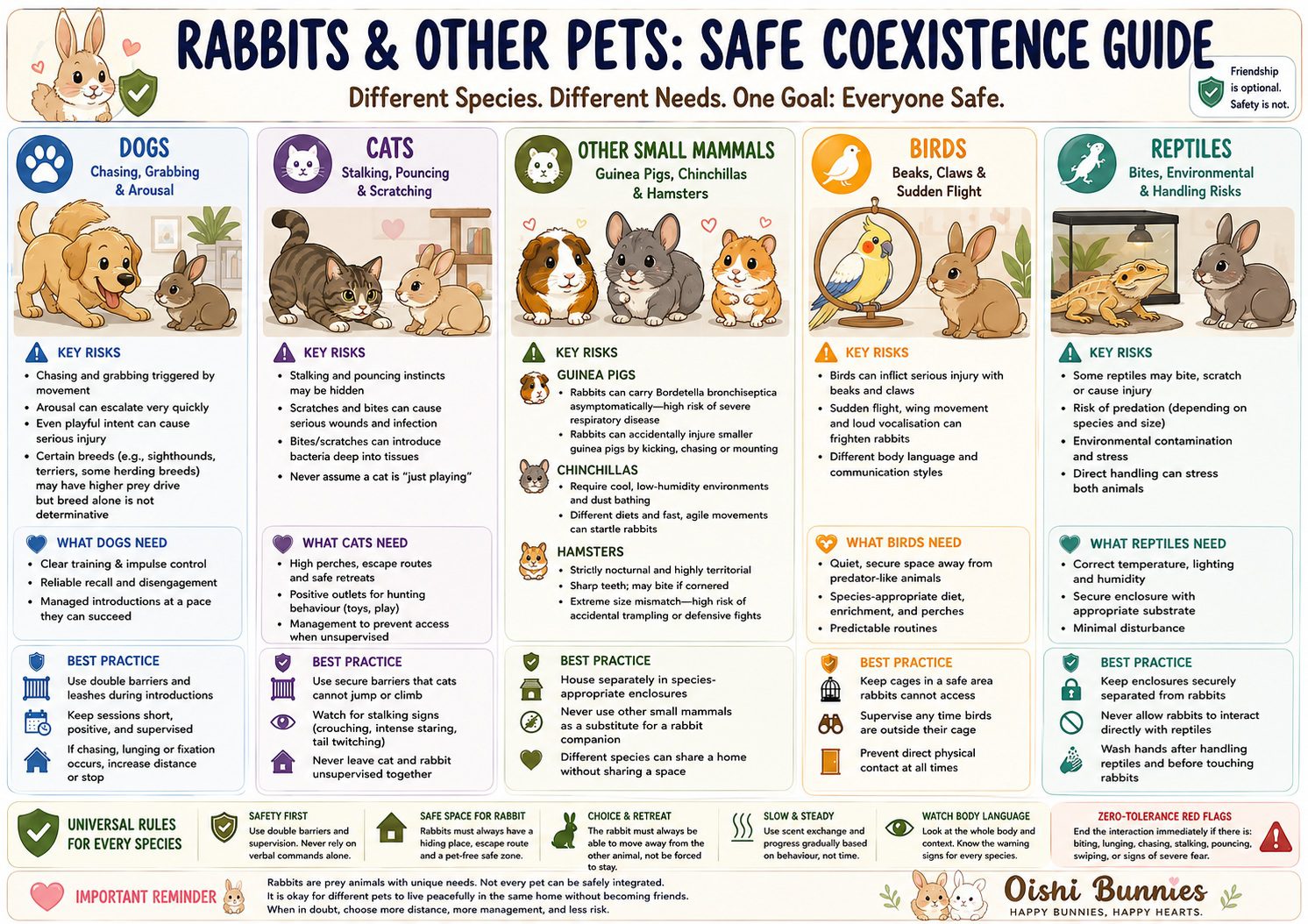 bonding rabbit with other pets