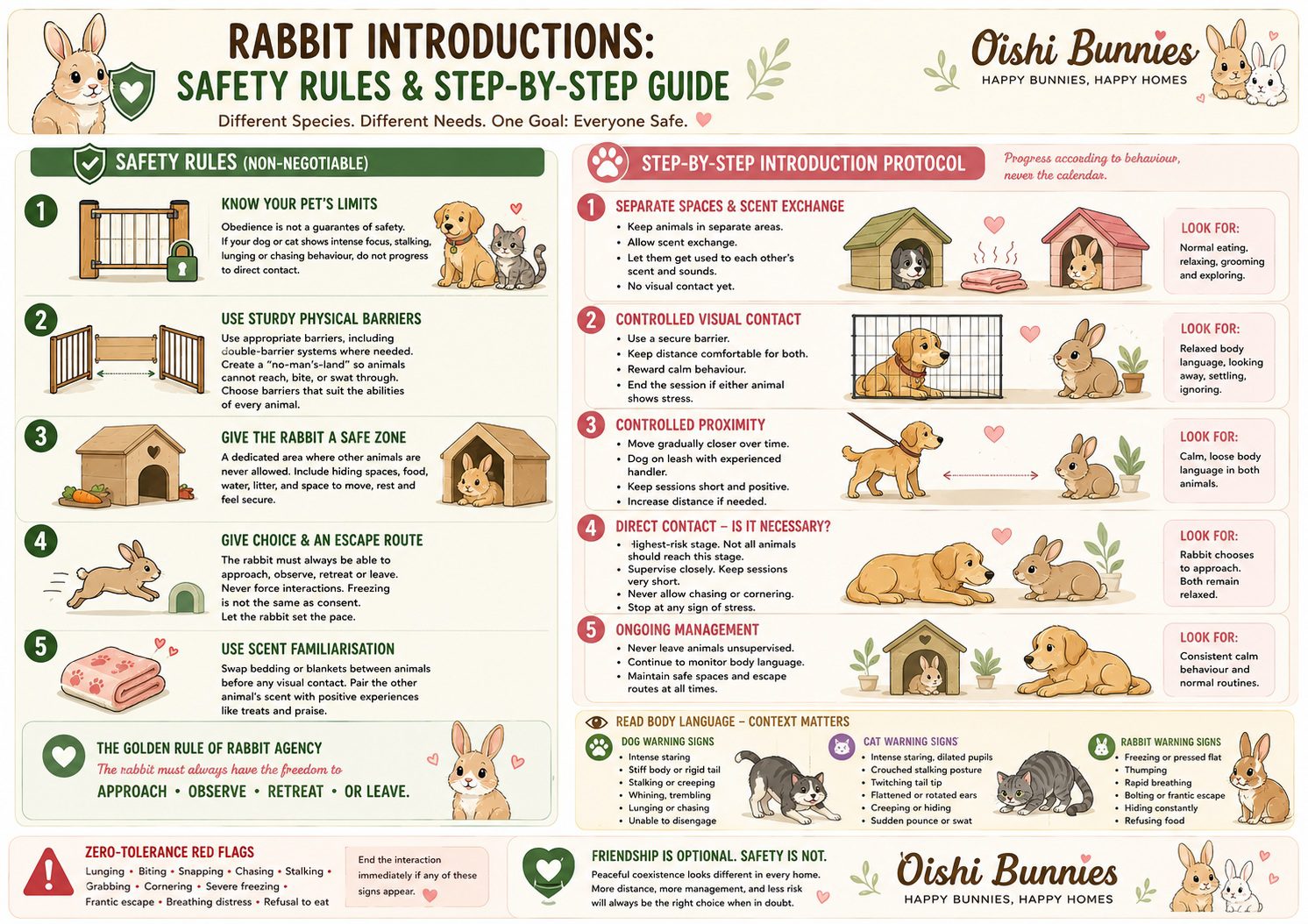 bonding rabbit with other pets