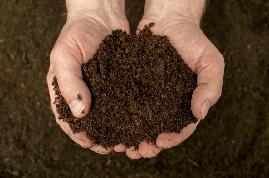 Organic soil and safe planting for rabbits