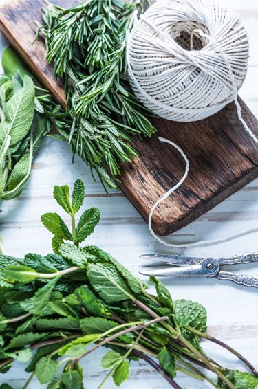 Fresh Herbs Hydration Advantage for Rabbits