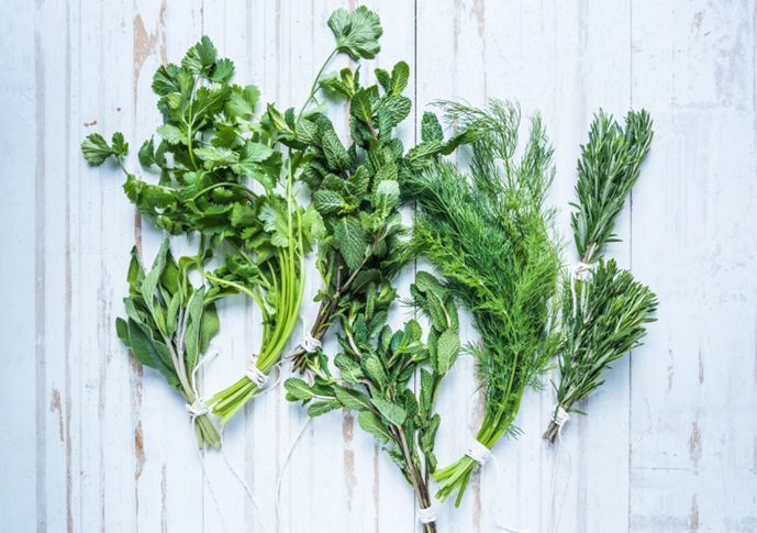 Nutritional Differences of Fresh vs Dried Herbs for Rabbits