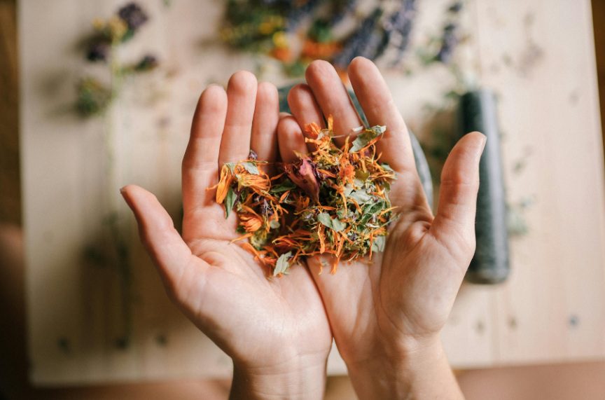 Storage and Usage of Fresh vs Dried Herbs for Rabbits
