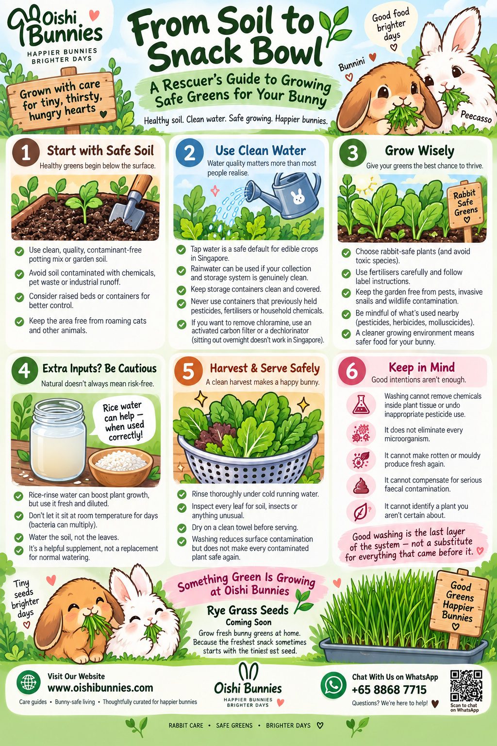 Gardening for Rabbit Owners Infographic
