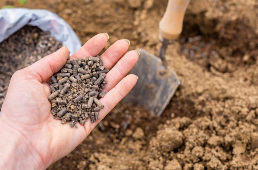 Fertiliser and compost safety for rabbit gardens