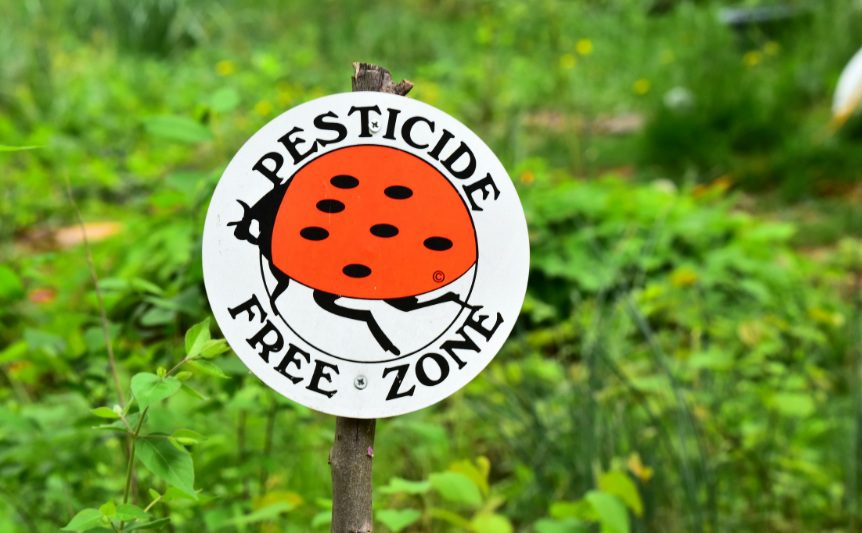 Organic and natural garden safety for rabbits