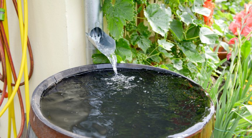 Water quality and rainwater storage for rabbit gardens