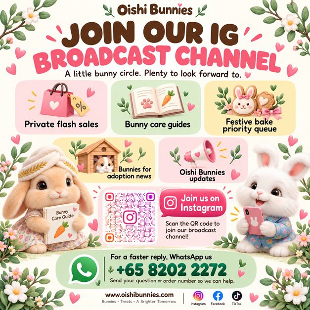 Join the Oishi Bunnies broadcast channel for bunny-care guides and updates