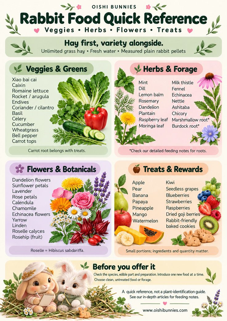 Oishi Bunnies rabbit food quick reference: vegetables, herbs, flowers and treats, featuring Bunnini and Pee-Casso